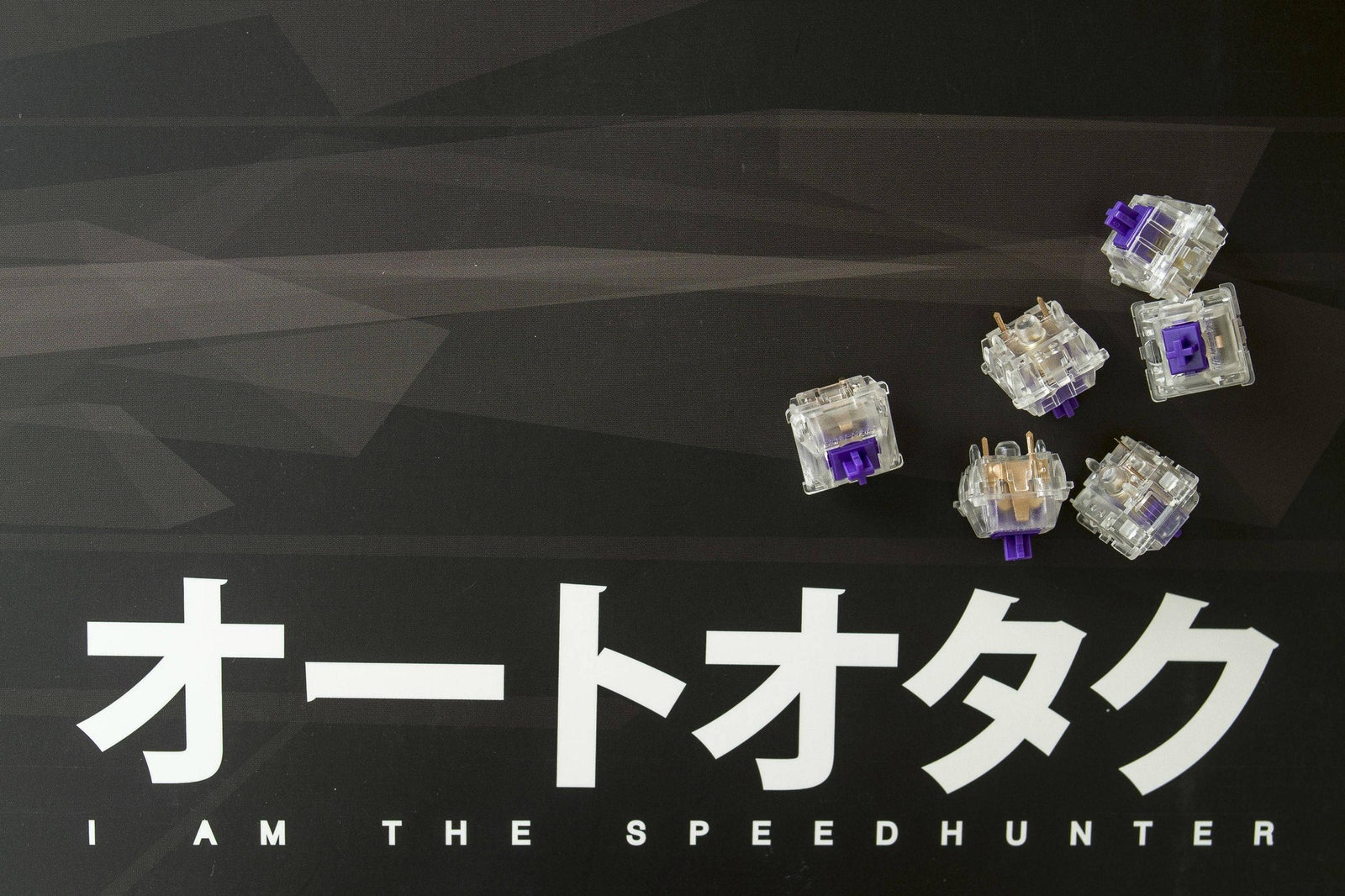 Switches & Stabilizers